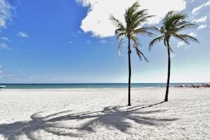 Ein Strand mit weißem Sand und zwei Palmen.