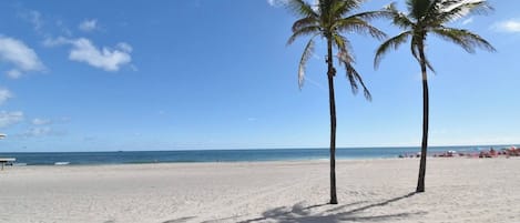 A beach with two palm trees and a clear sky.