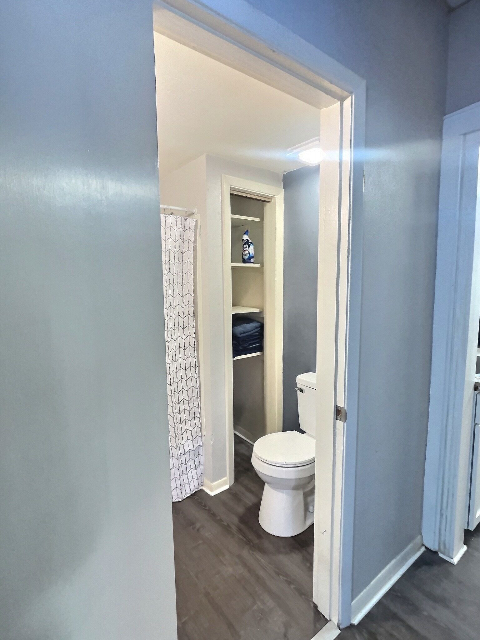 A bathroom with a toilet, a shelf with a bottle, and a shower curtain.