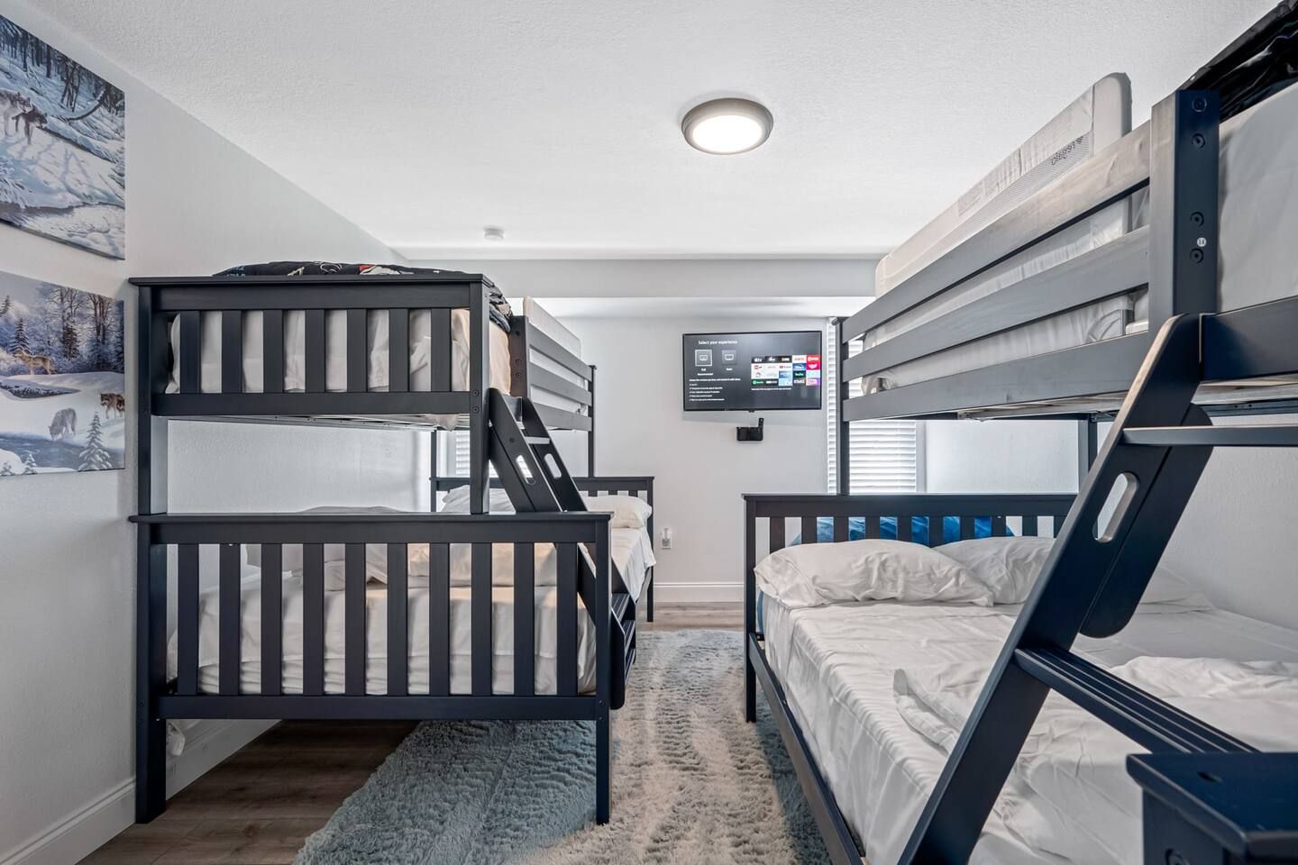 A room with bunk beds, a television, and a rug.