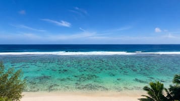 Una playa con agua turquesa cristalina, arena blanca y palmeras.