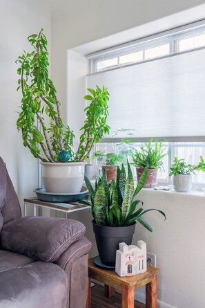 Una habitación con ventana, un sofá de cuero marrón y varias plantas en macetas sobre una mesa de madera.