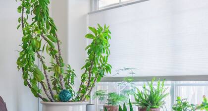 Cozy Casita near Downtown Albuquerque