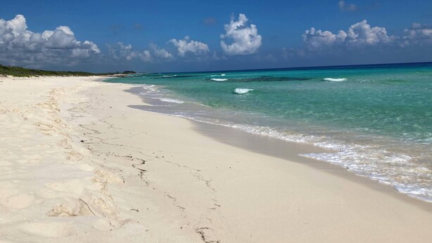 A wide sandy beach with clear turquoise water and a few footprints. - Fabulous 4-bedroom Home, 900 Meters from Ocean in Cozumel (San Miguel de Cozumel)