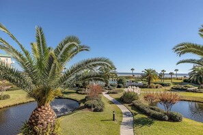 Ein angelegter Garten mit Palmen, einem Teich und einem Weg.