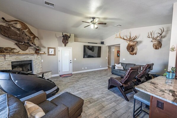 Smart TV, fireplace, books