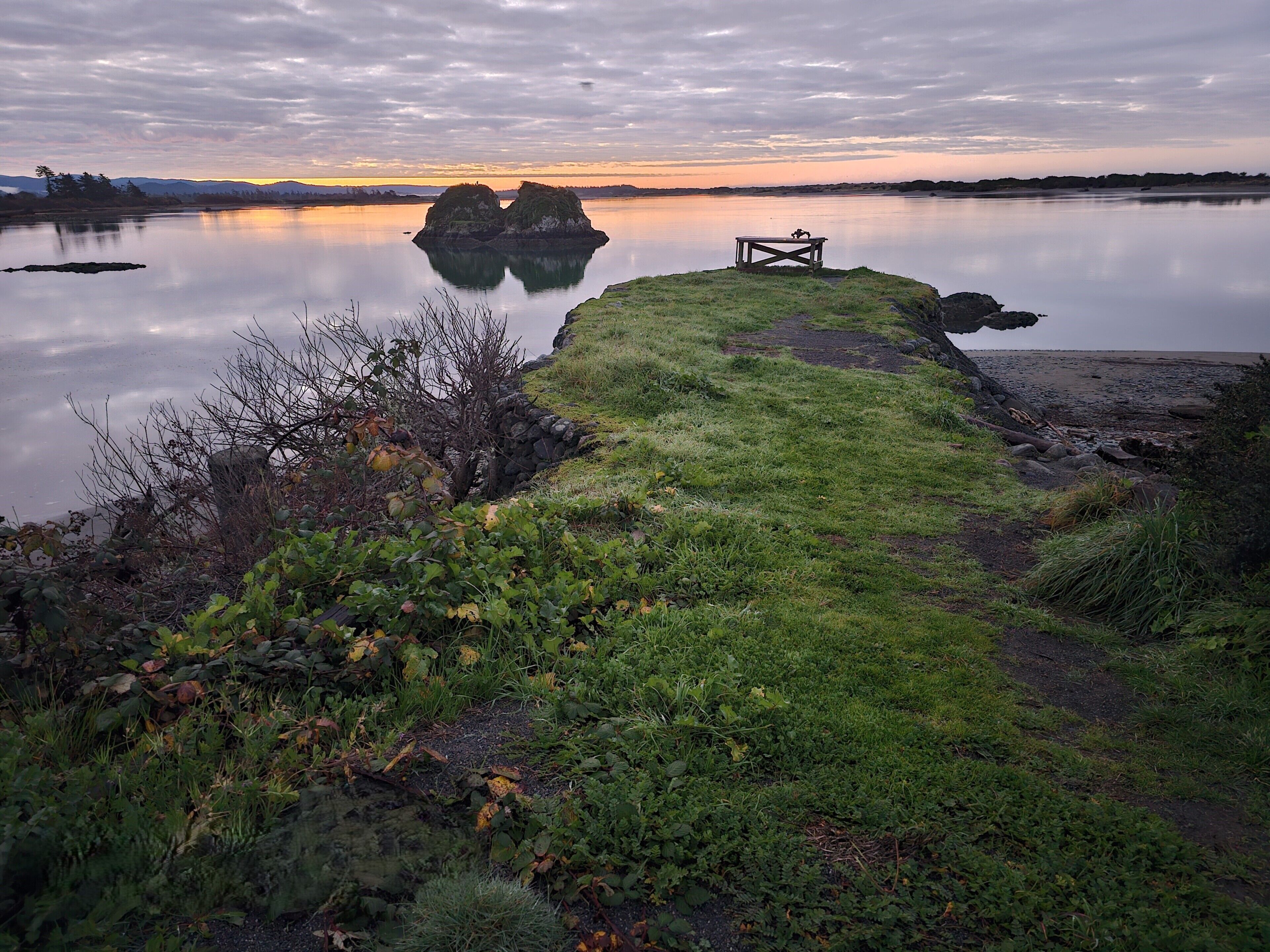 Cena tranquila à beira de um lago, com gramado, mesa e banco.