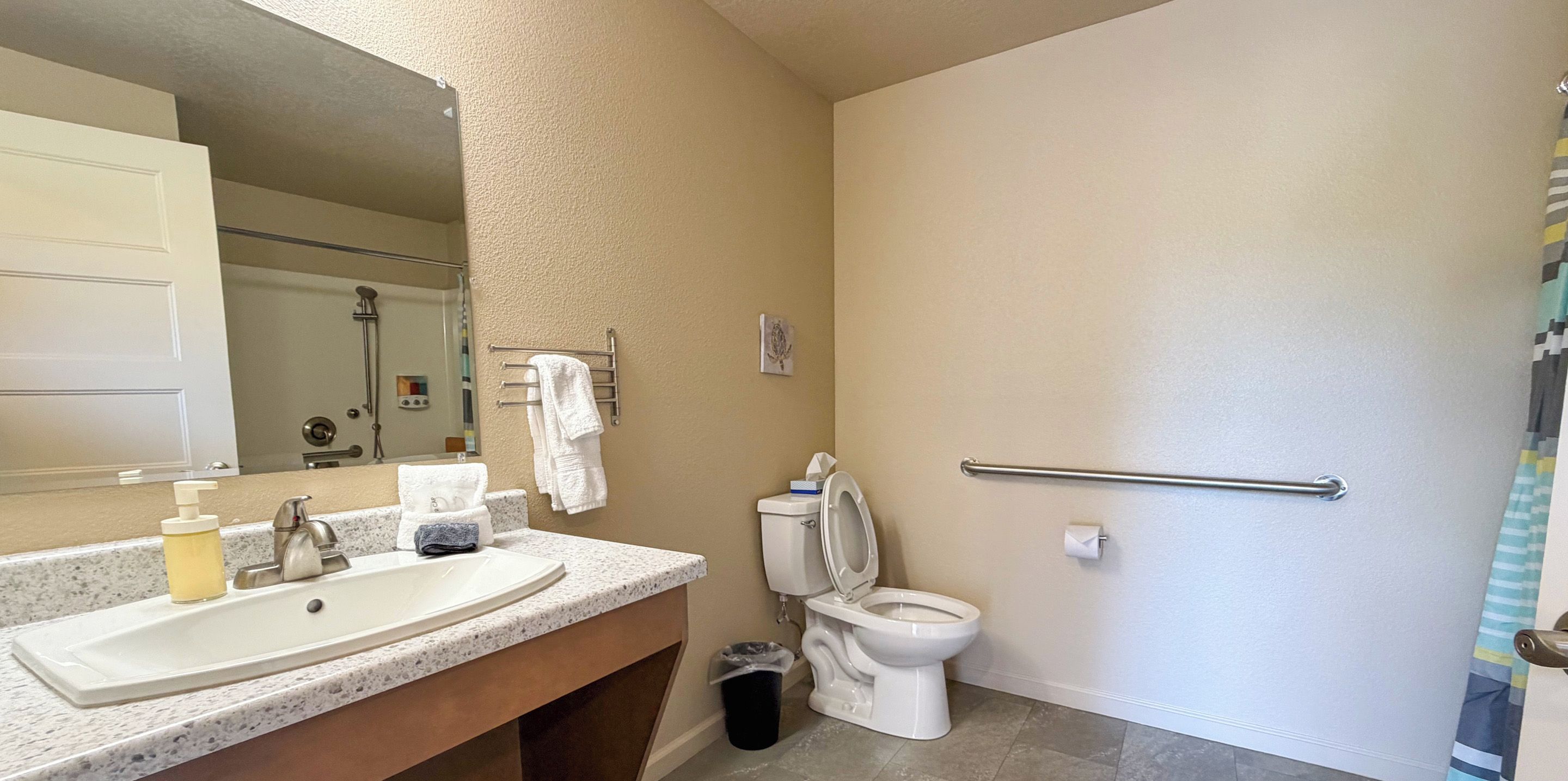 Une salle de bain avec un lavabo, des toilettes et une douche.