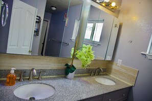 A bathroom with two sinks, a mirror, and a potted plant. - Bethesda Inn LLC , Modern, Comfort, Peaceful Stay (Boise)