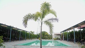 A pool area with a palm tree, outdoor seating, and a covered patio. - Sonchafa Resort Pauni (Pawni)