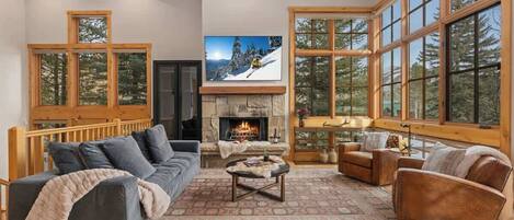 TV, fireplace, offices