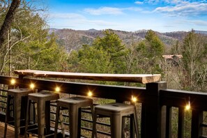 Property grounds - Bigfoot's Hideout - Treehouse, Arcade, Hot Tub (Blue Ridge)