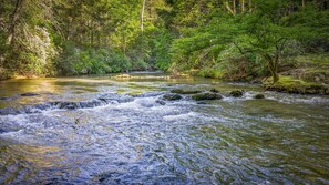 A river flowing through a forested area with rocks and trees. - Riverbend Lodge - Riverfront | Screened Area w Outdoor Fireplace | Firepit (Ellijay)