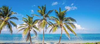 Cozy Corner ~Where Budget Meets Breathtaking Beach in a 1-bedroom studio with AC