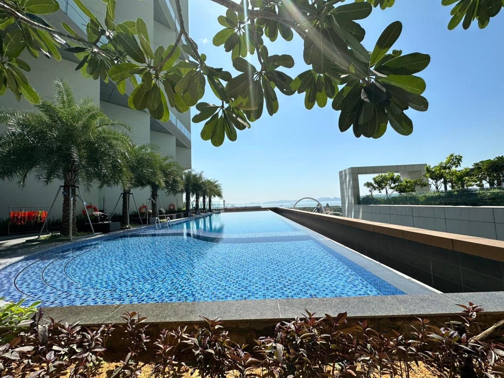 A swimming pool with a tiled edge, surrounded by palm trees and a building.