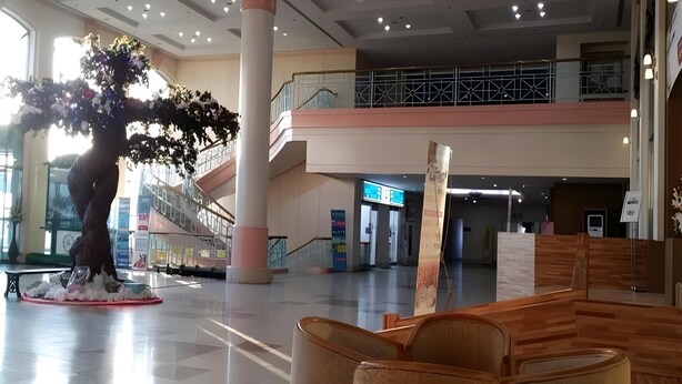 Een ruime lobby met een grote boomsculptuur, een houten receptiebalie en een trap naar een hoger niveau.