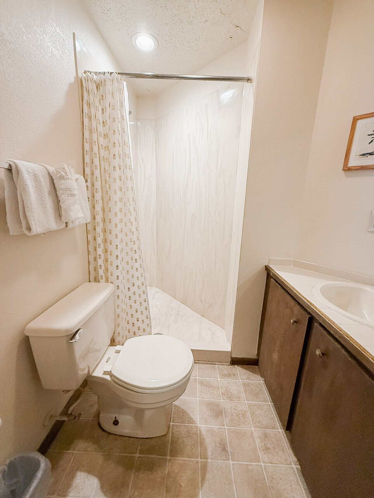 Un baño pequeño con inodoro, ducha y lavamanos.