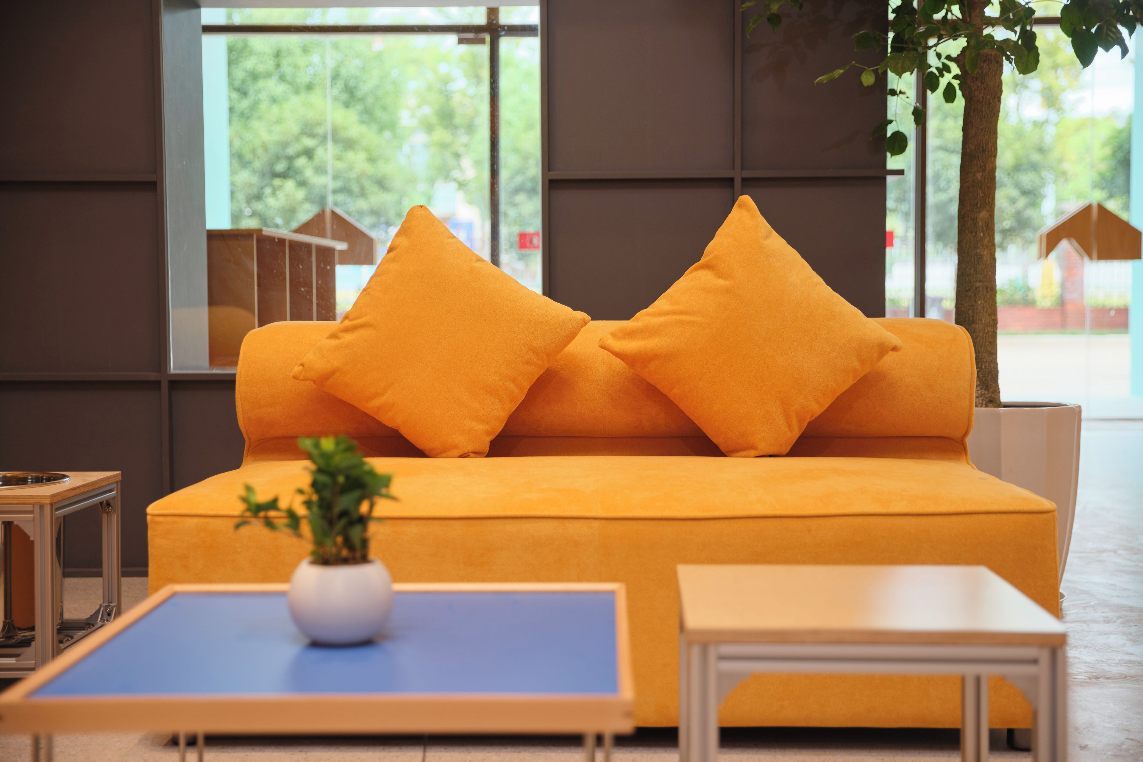 A modern living room with a sofa and two matching cushions, a small table with a plant, and a view of a tree and buildings outside.