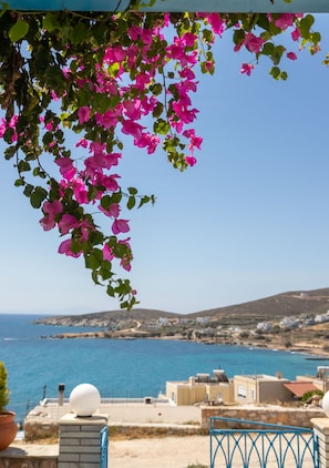 Vista da propriedade