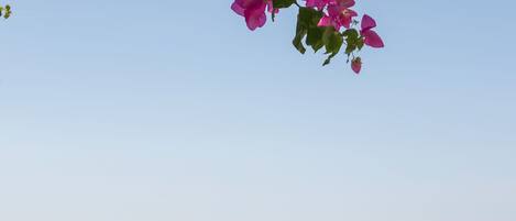 Utsikt fra overnattingsstedet