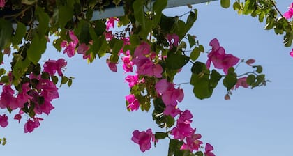 Aigaio View Studios & Rooms