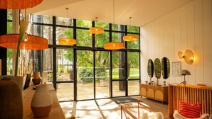 Un intérieur moderne avec de grandes fenêtres, un comptoir d’accueil en bois et un espace détente agrémenté d’un tapis à motifs.