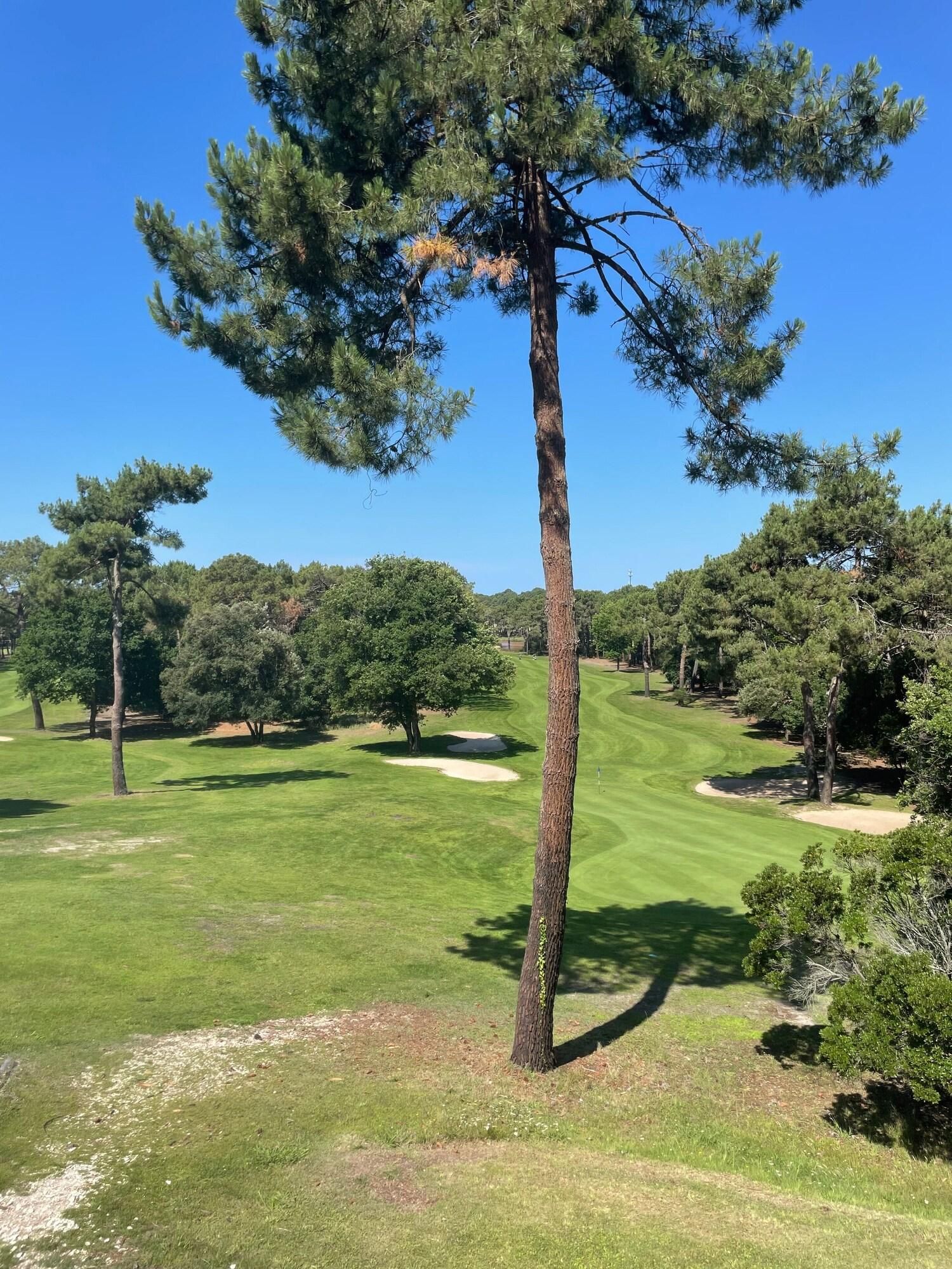 Un parcours de golf avec un ciel dégagé, de l’herbe verte et des pins.