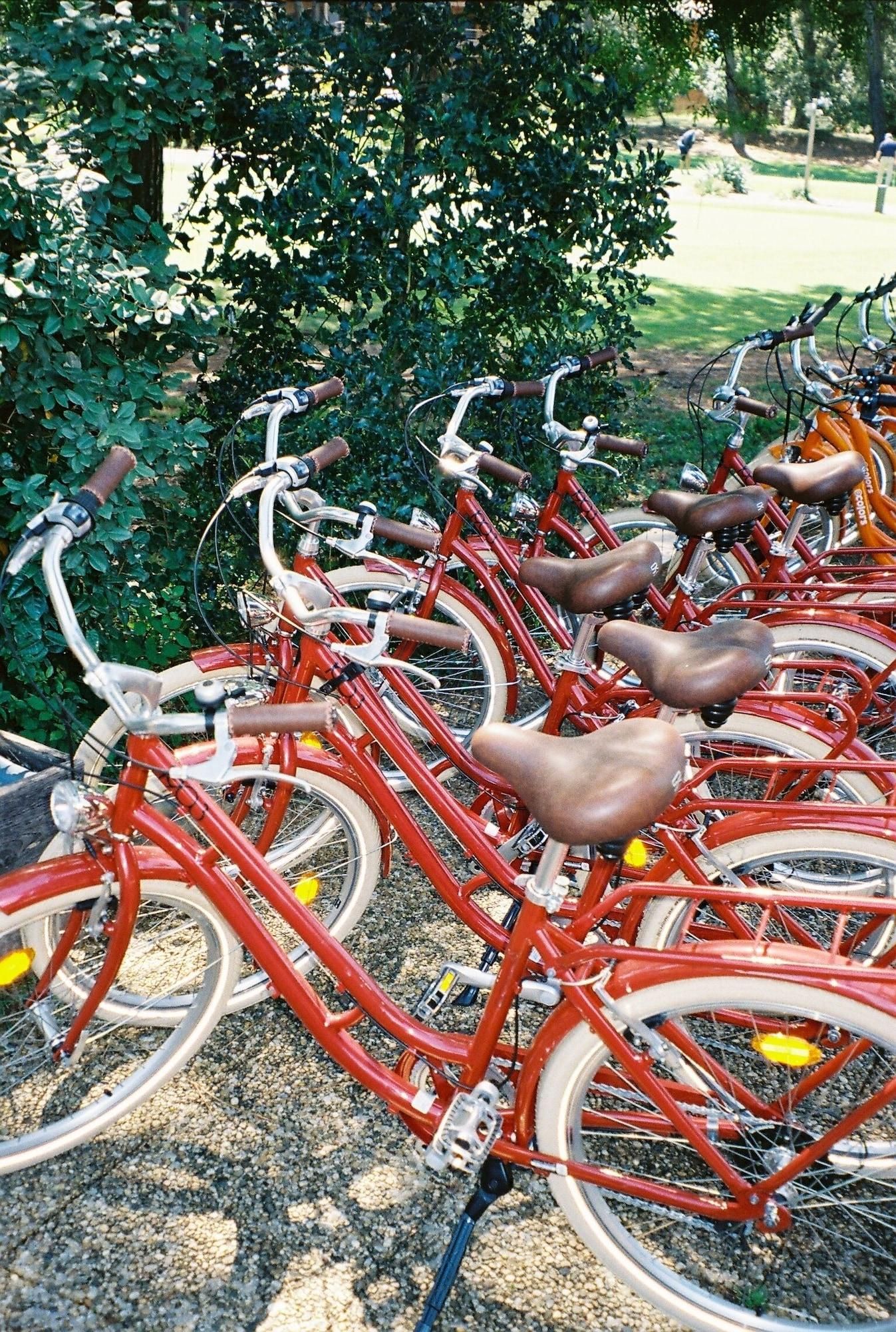 Une rangée de vélos rouges est garée sur un terrain recouvert de gravier, avec de la verdure en arrière-plan.