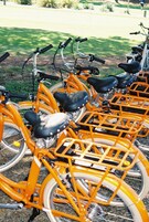Una fila de bicicletas amarillas estacionadas al aire libre.