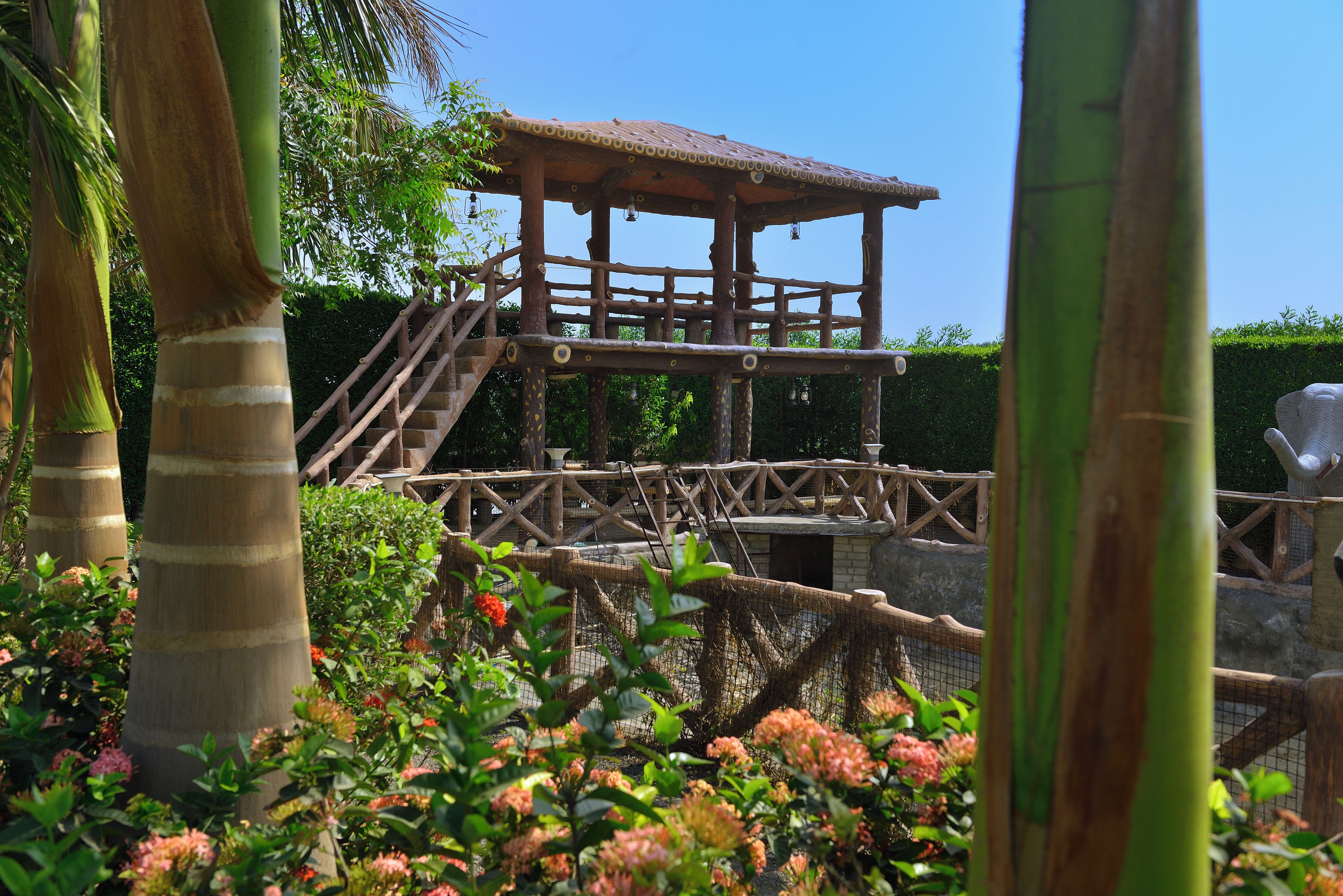 A wooden structure with a thatched roof, surrounded by lush greenery and flowering plants.