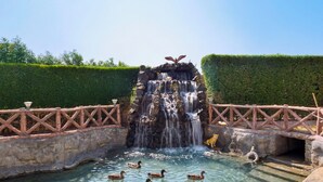 Un étang avec des canards, une cascade et un pont en bois.
