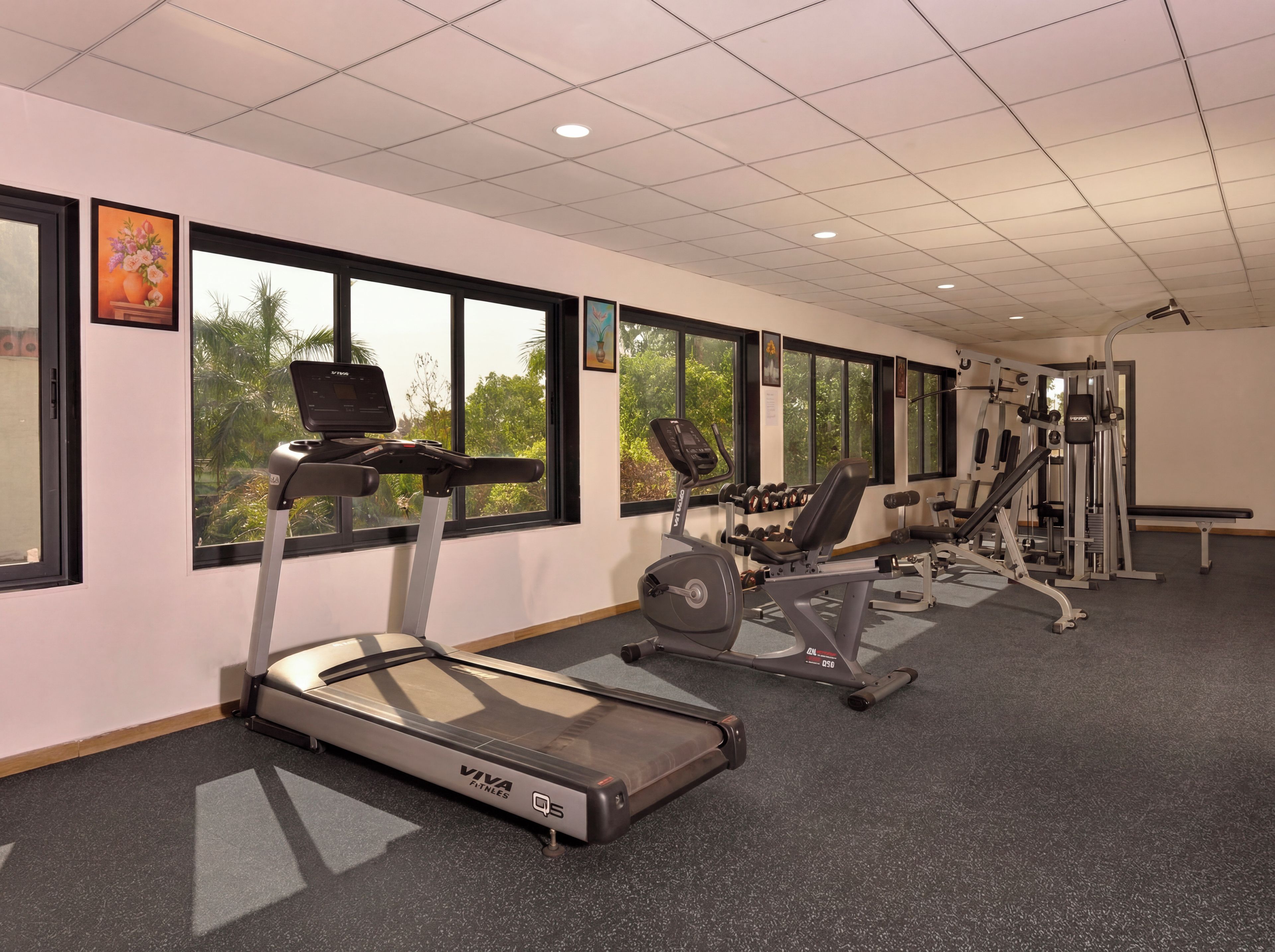 A gym with treadmills, weight machines, and dumbbells.