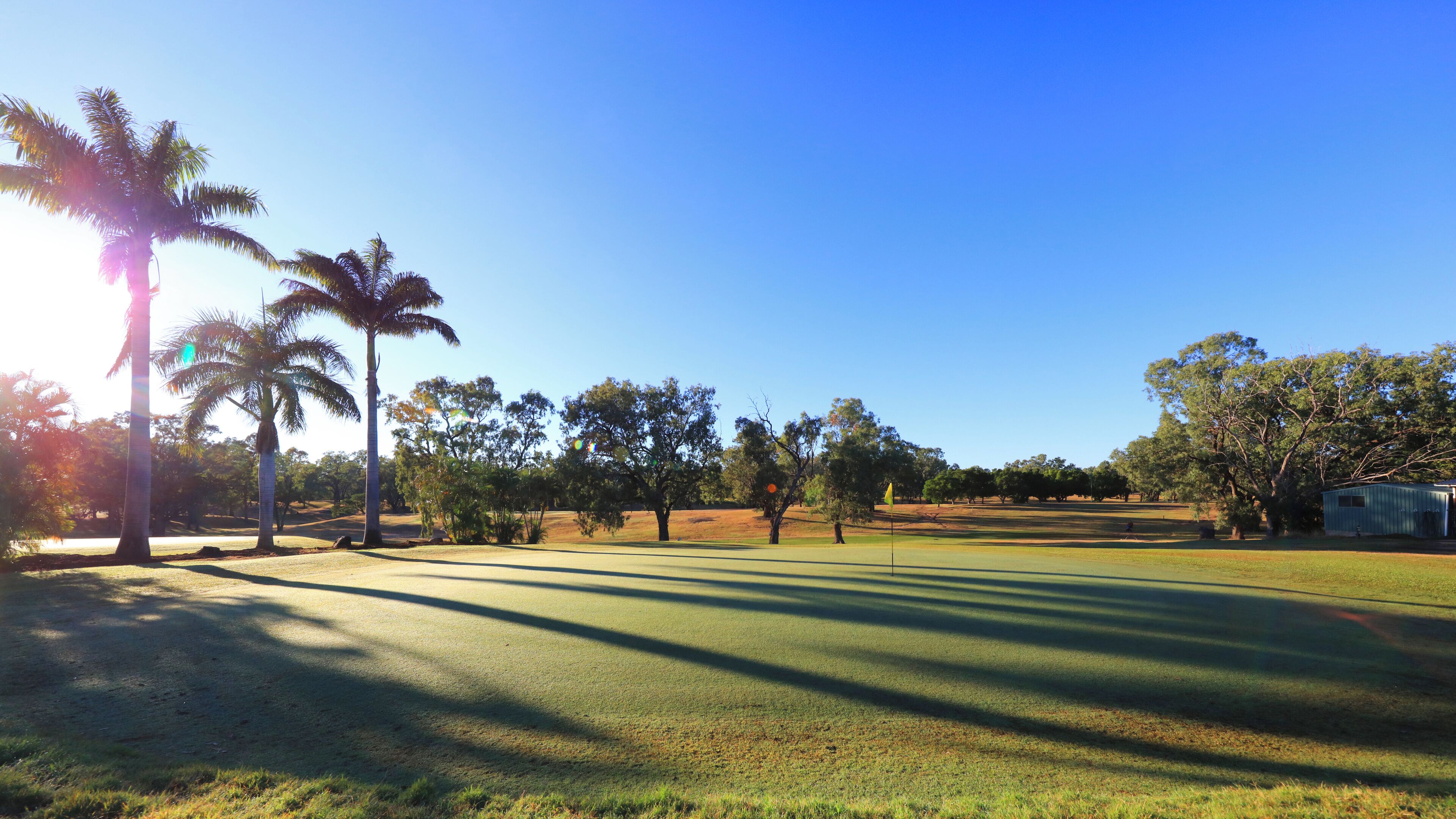 Golf