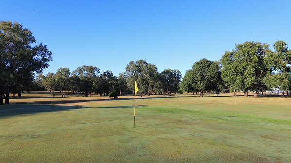 A golf course with a flagstick, trees, and a clear sky. - Emerald Gardens Motel and Apartments (QLD)