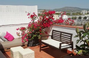Terras