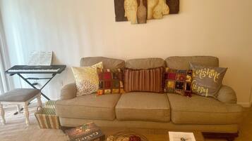 Smart TV, fireplace, books