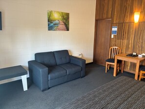 Iron/ironing board, free WiFi - Charlies Motor Lodge (Balclutha)