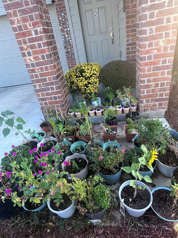 تفاصيل الفندق من الخارج