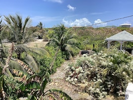 Un jardín con palmeras, un pabellón y un camino.