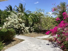 Un sendero de concreto atraviesa un jardín con plantas de flores blancas y rosadas.