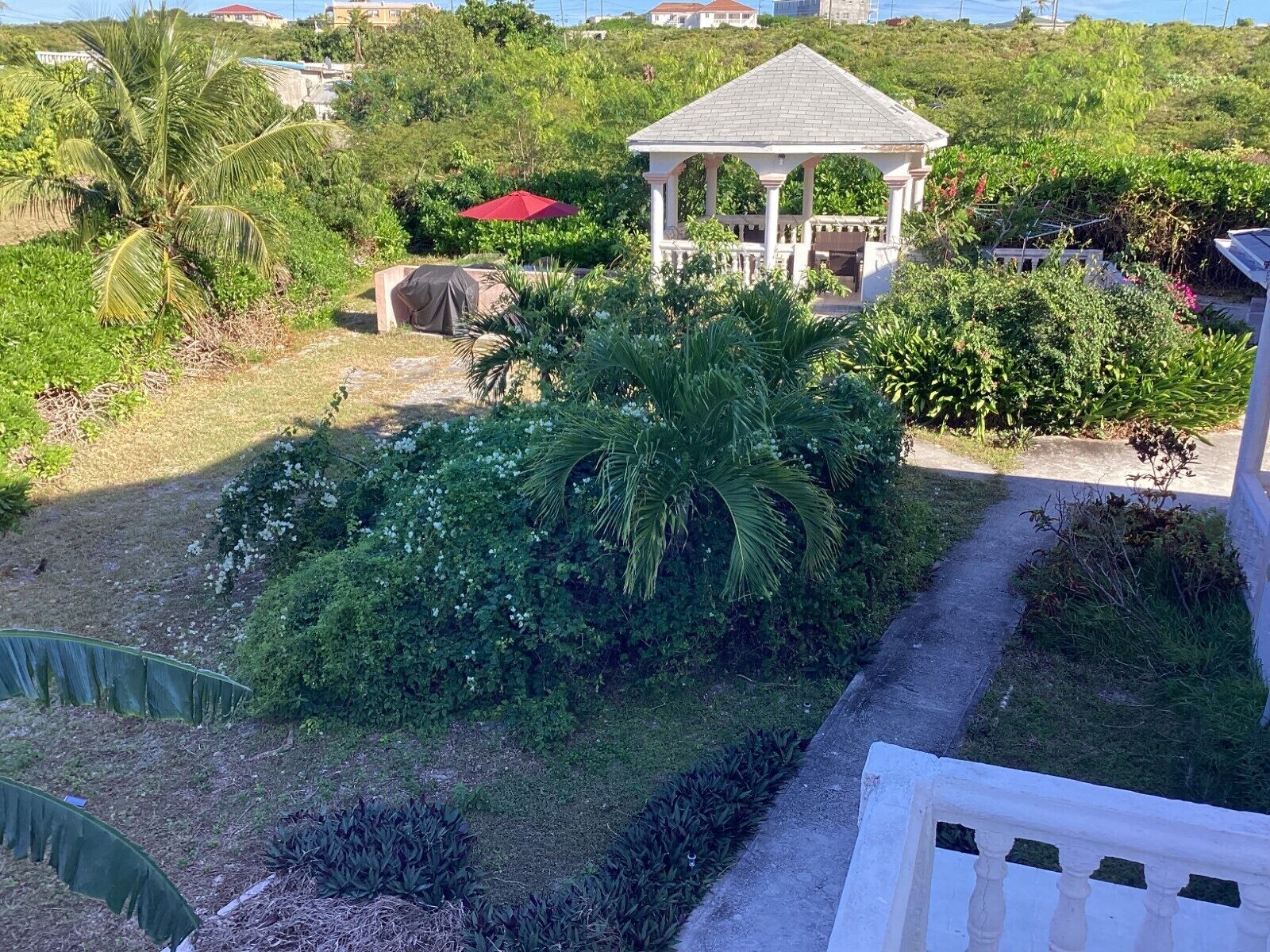 A gazebo with a tiled roof surrounded by lush greenery and a palm tree.