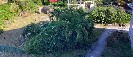 A gazebo with a tiled roof surrounded by lush greenery and a palm tree.