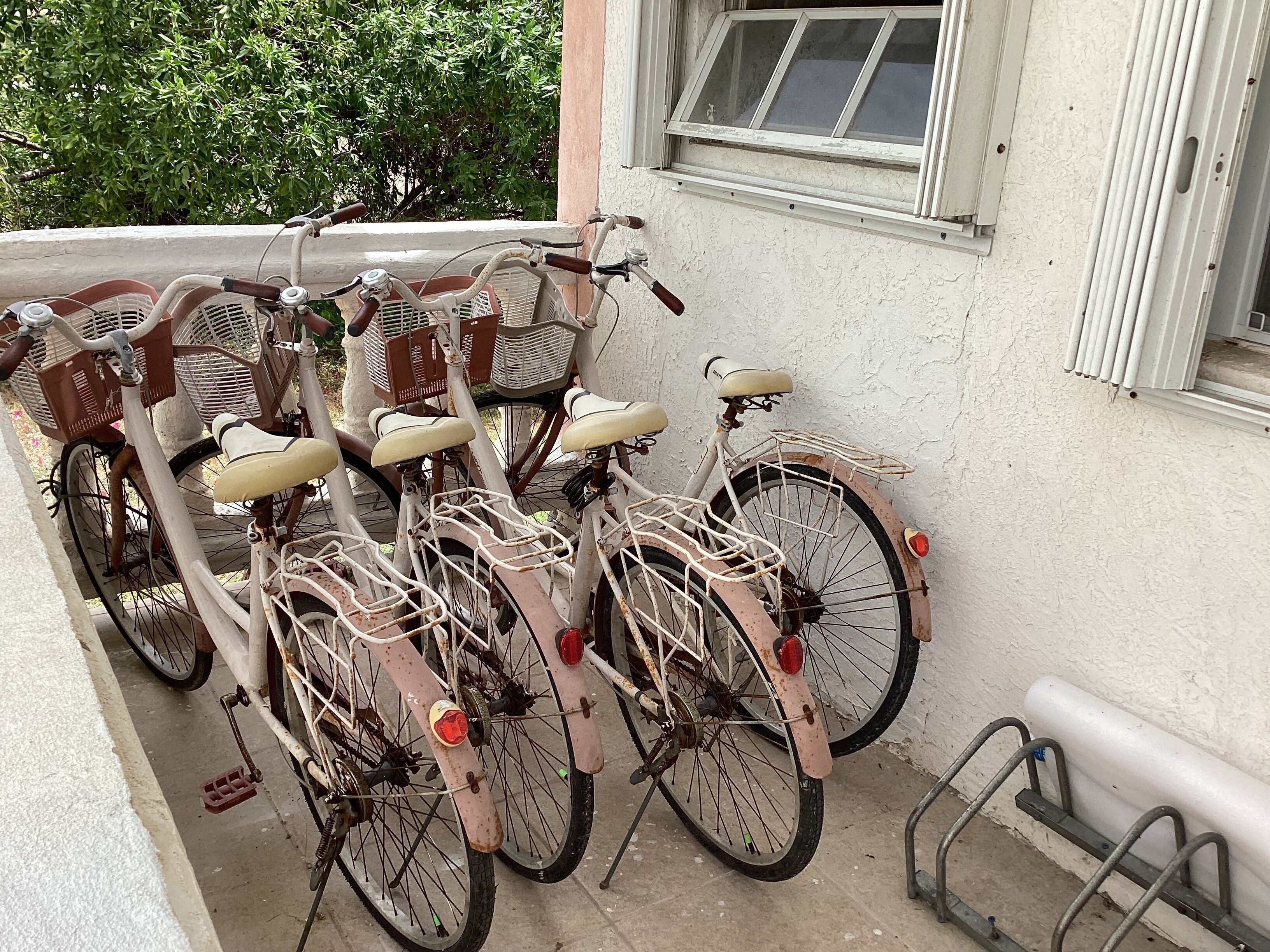 自転車