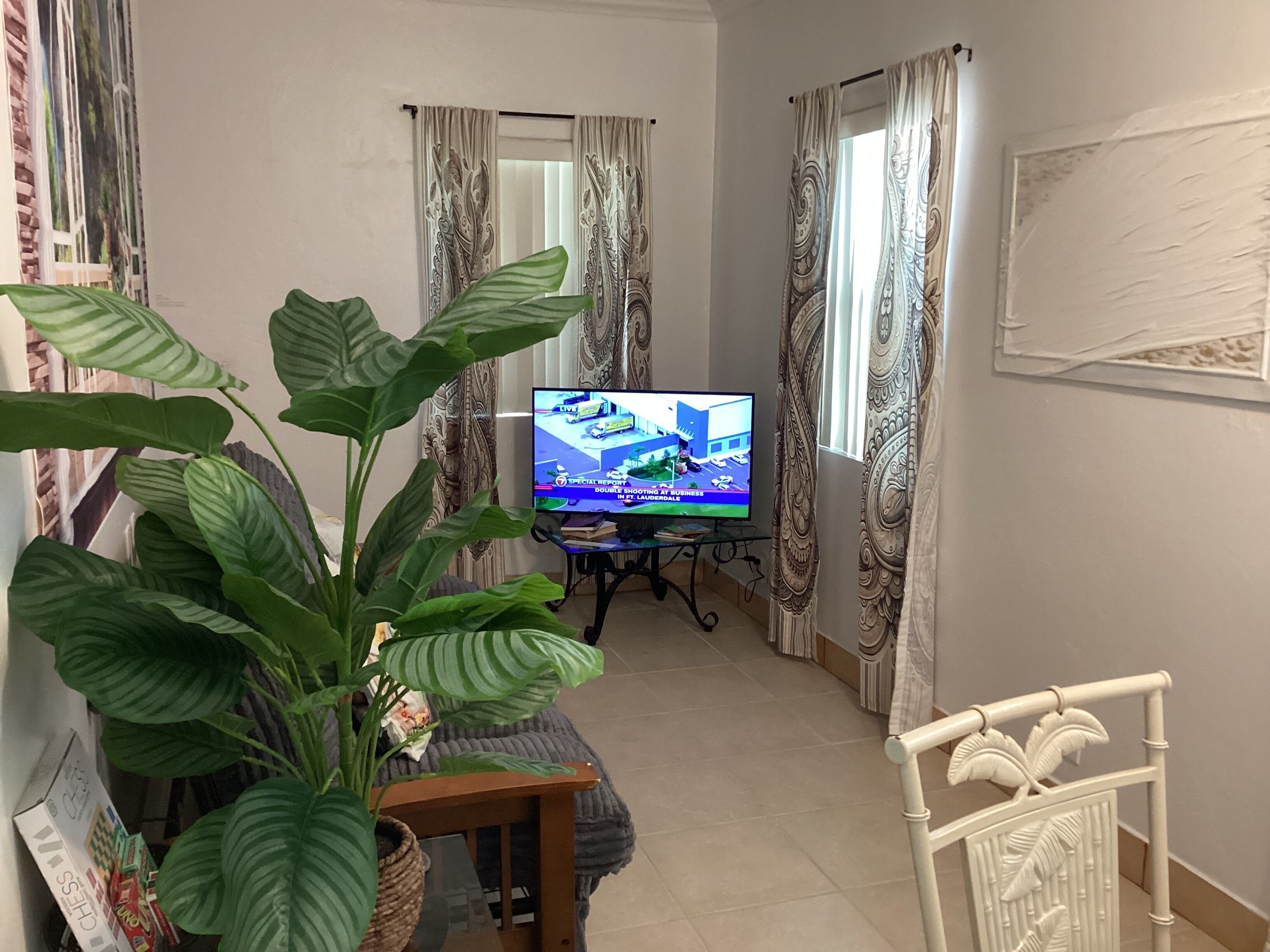 Una sala de estar con televisor, una planta y cortinas.