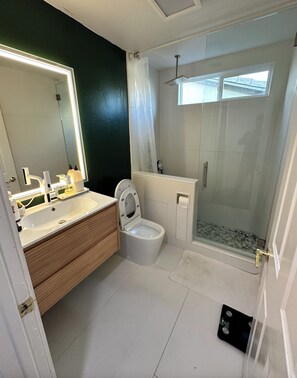 Shower, hair dryer, bidet, towels