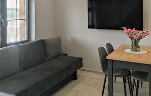 Televisión 