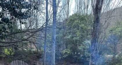 Lazy Daze River Retreat