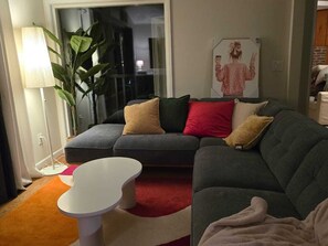 Smart TV, fireplace, books