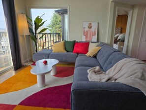 Smart TV, chimenea y libros 