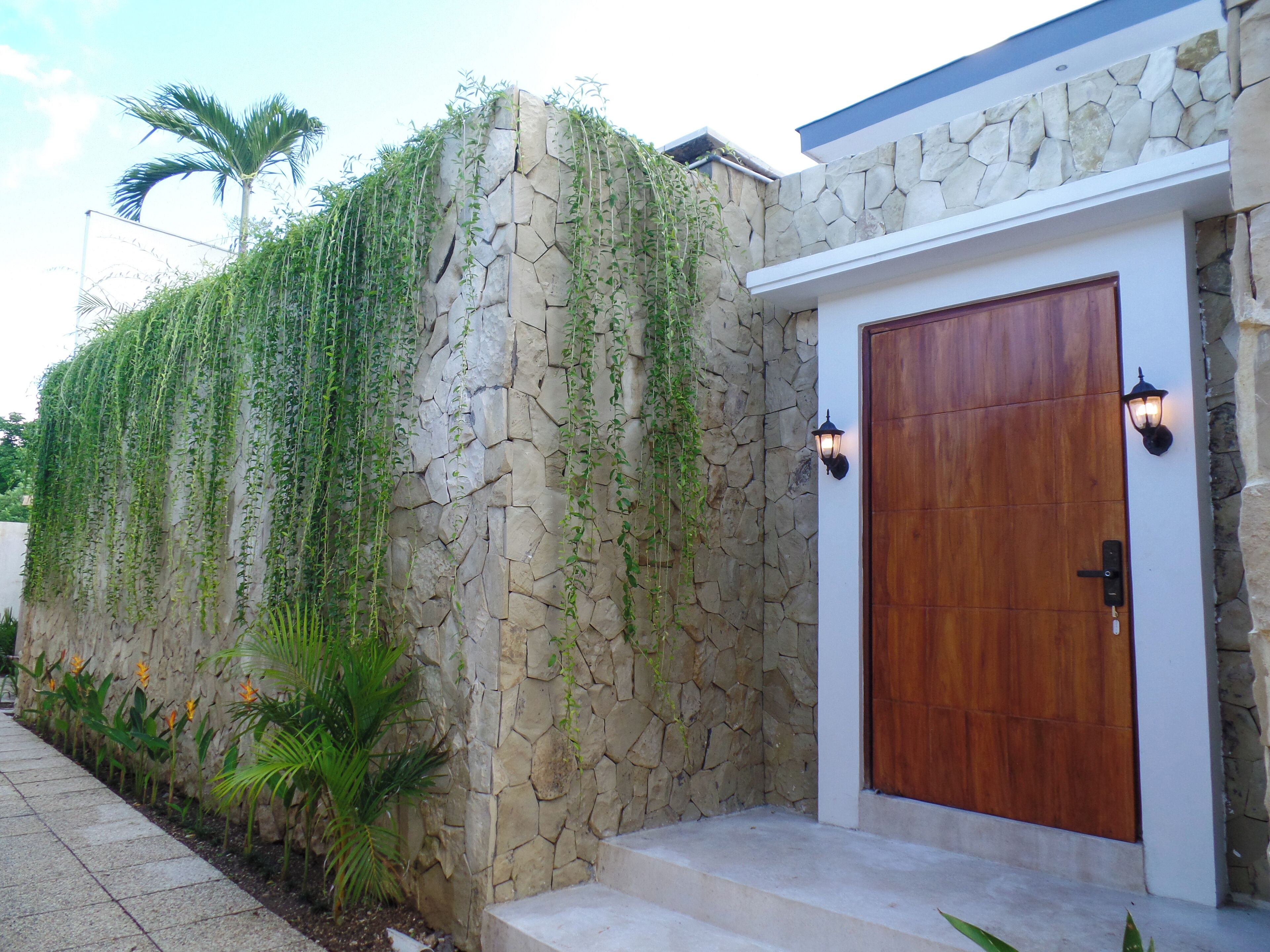 A stone wall with climbing plants, a wooden door with a light fixture, and a concrete pathway.